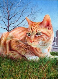 Photoreal Pen Drawings Image 6