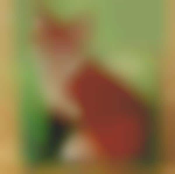 Time Lapse Embroidery Videos