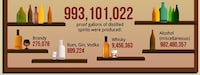 Booze Market Infographics Image 6