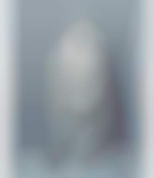 Camouflaged Curtain Captures