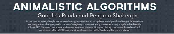 12 Search Engine Optimization Infographics