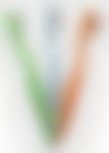 Plant-Based Compostable Toothbrushes