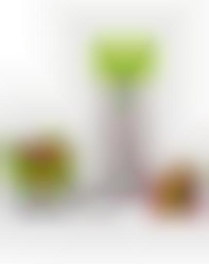 Fruit-Infusing Water Bottles
