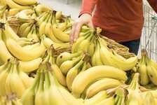 Rot-Preventing Fruit Sprays