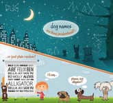 Canine Identification Infographics