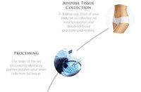 Individualized Stem Cell Skincare Image 3