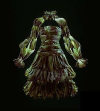 Couture Cuisine Creations Image 6