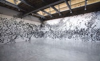 Ebony Moth Installations Image 2