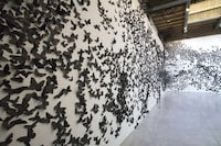 Ebony Moth Installations Image 3