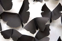 Ebony Moth Installations Image 4