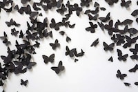 Ebony Moth Installations Image 5