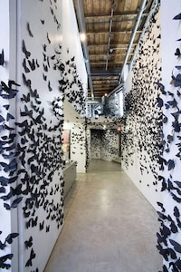 Ebony Moth Installations Image 6