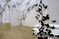 Ebony Moth Installations Image 8