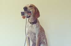 Object-Holding Puppy Pictures 