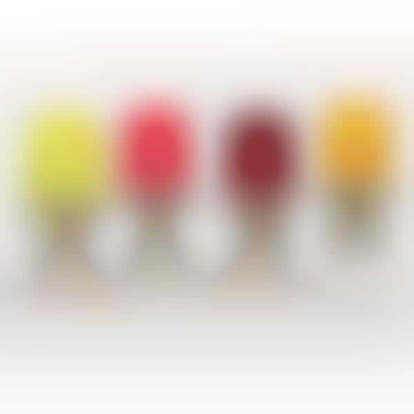 Personified Popsicle Treats