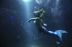 Aquatic Political Parties