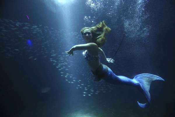 Aquatic Political Parties