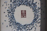Butterfly-Bombed Street Art Image 4