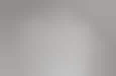 Wilting White Spaces