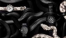 Serpentine Watch Catalogs