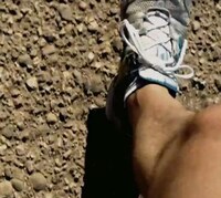 Everyday Enjoyment Videos Image 6