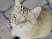 Everyday Enjoyment Videos Image 8