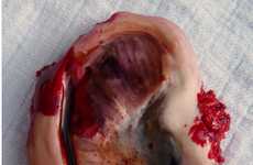Gruesome Anatomy Desserts
