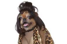 Hilarious Pooch Ensembles