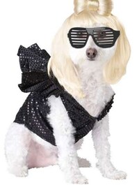 Hilarious Pooch Ensembles Image 2