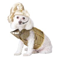 Hilarious Pooch Ensembles Image 3