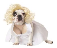 Hilarious Pooch Ensembles Image 5