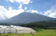 Altruistic Organic Fertilizer Technology
