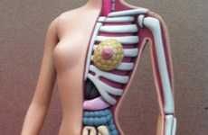 Anatomy-Showing Dolls