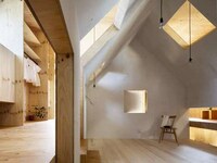 Angular Plywood Abodes
