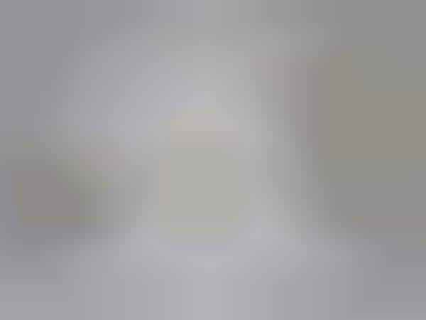 Cartilage-Inspired Ceramics