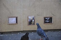 Bird-Centric Art Galleries Image 2