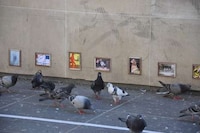 Bird-Centric Art Galleries Image 3