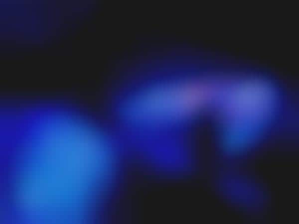 Ethereal Oceanic Installations
