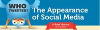 Fake Following Infographics