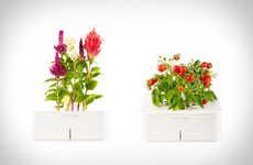 Digitally-Controlled Plants