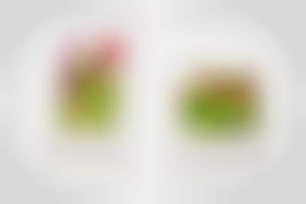 Digitally-Controlled Plants