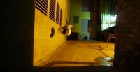 Realistic Video Game Free-Runners Image 8