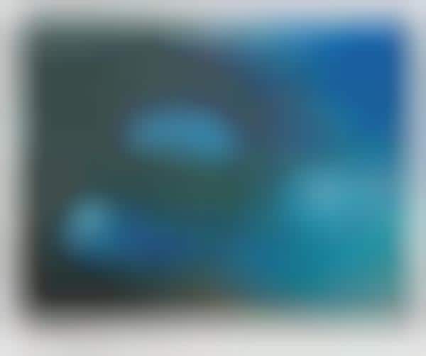 Coral Reef-Inspired Paintings
