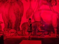 Color-Filtered Animal Depictions Image 4