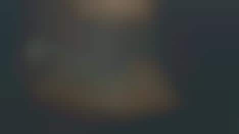 Feuding Family Campaigns