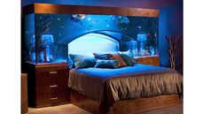Accessible Bedroom Aquariums