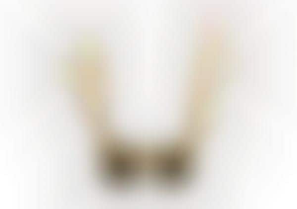 Antlered Eyewear Accessories
