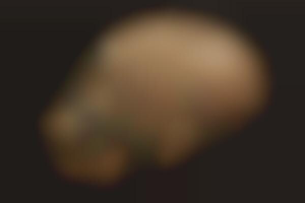 Minuscule Object Artwork
