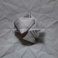 Crumpled Papercraft Captures