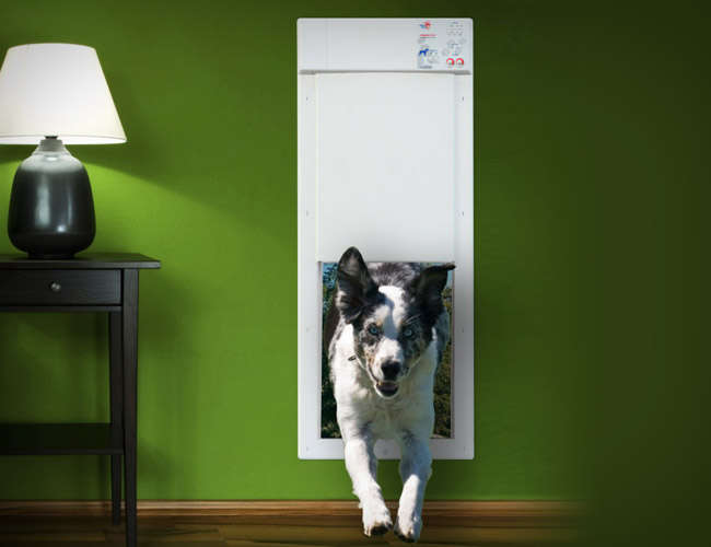 Hi-Tech Dog Entryways